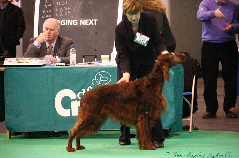 Crufts2011 831.jpg